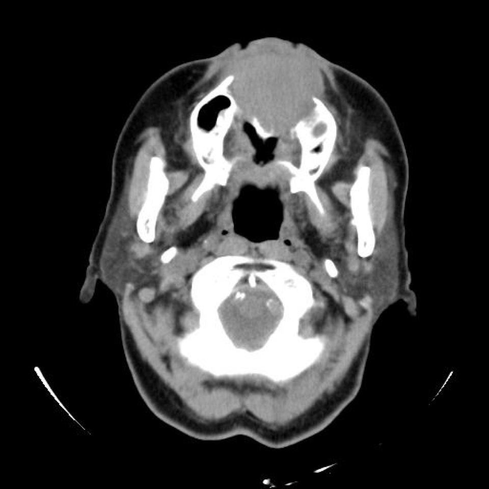 631-1-CT.jpg